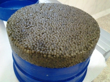 caviar suppliers uk & Austria