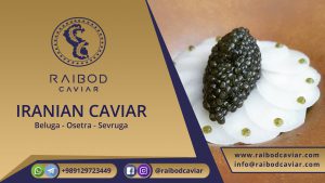 Beluga caviar price