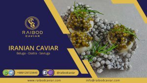 importing original caviar