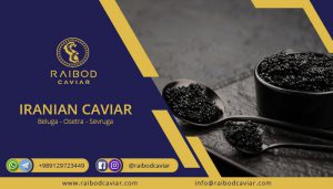 caviar alive fry
