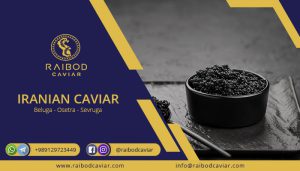 Buyer of first class caviar