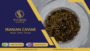 Export of Iranian farmed caviar
