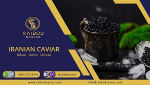 daily price of caviar