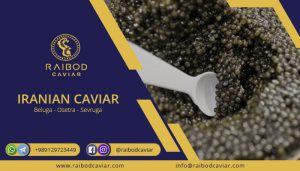The best and most expensive Iranian caviar