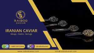 Price of beluga caviar
