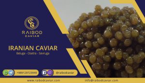 Caviar price in Iran