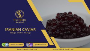 Caviar price in Iran