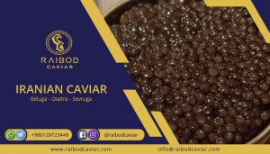 Asetra caviar