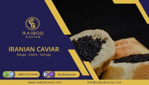 The price of northern caviar