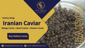 Talesh caviar distribution