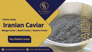 Iranian caviar supplier