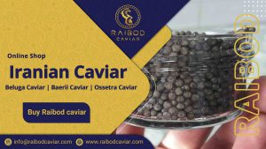 Buy Acipenser baerii caviar