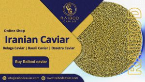 Buy live caviar for wholesale