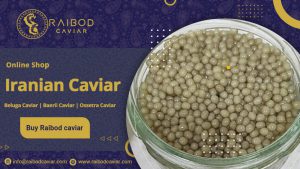 Beluga caviar production center