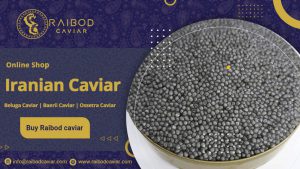 Beluga Imperial Caviar Sales Center