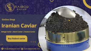 caviar sale price list