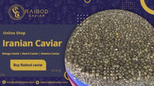 Export of caviar to Europe