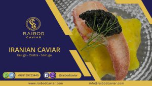 Export best Caviar