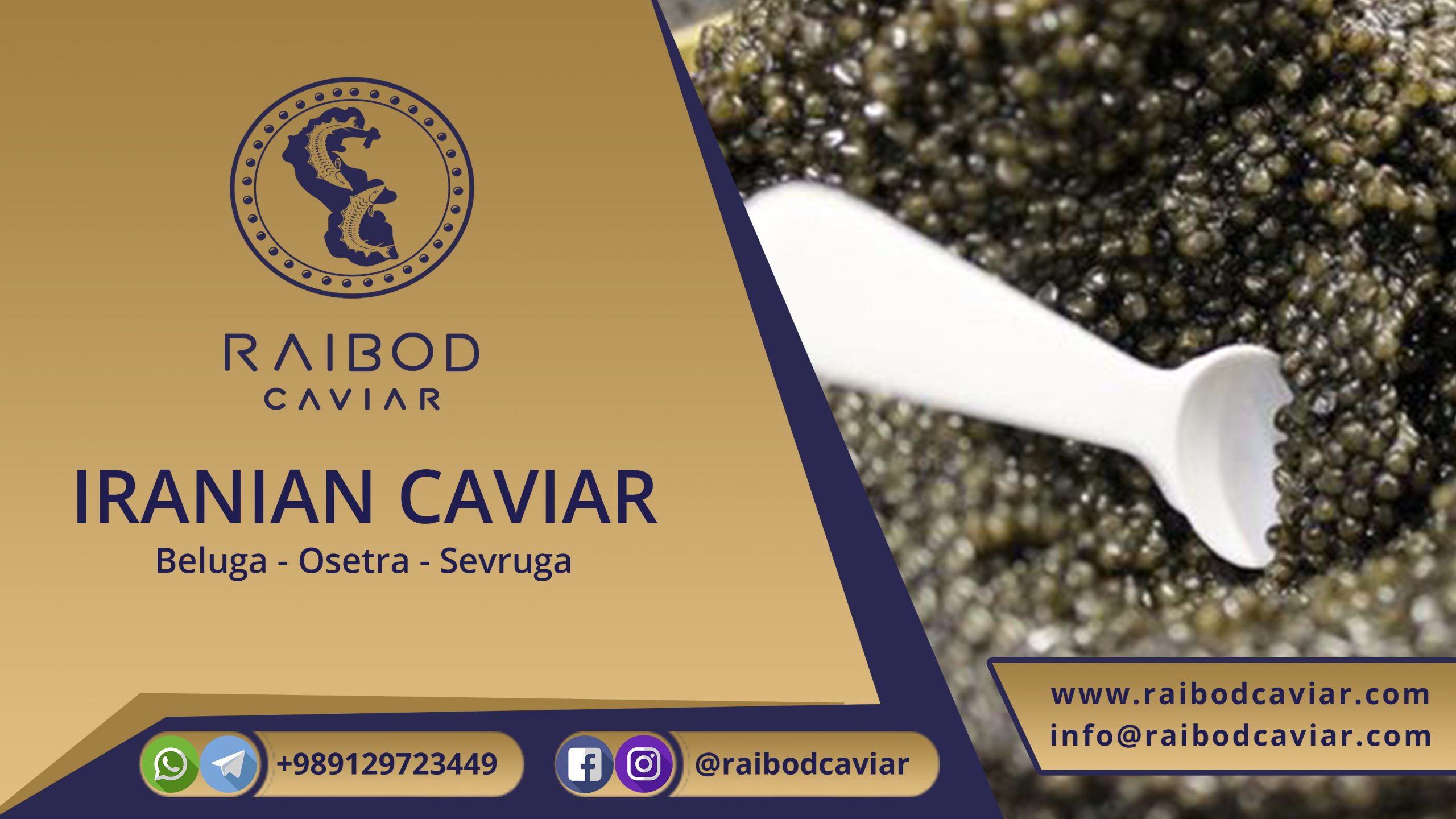 Talesh caviar