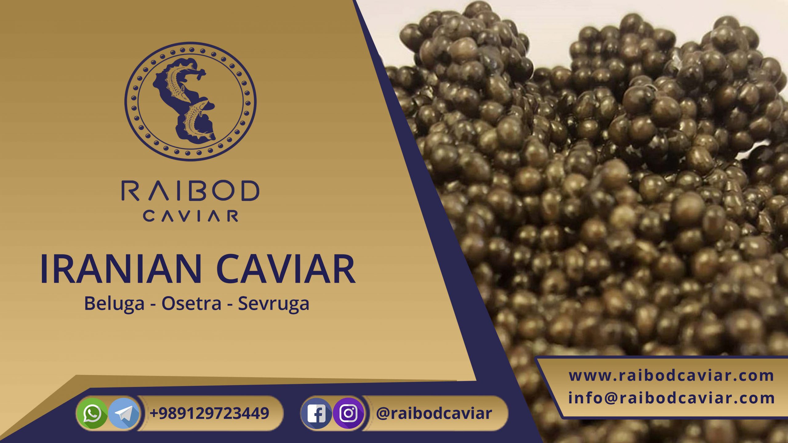 Import of Beluga caviar