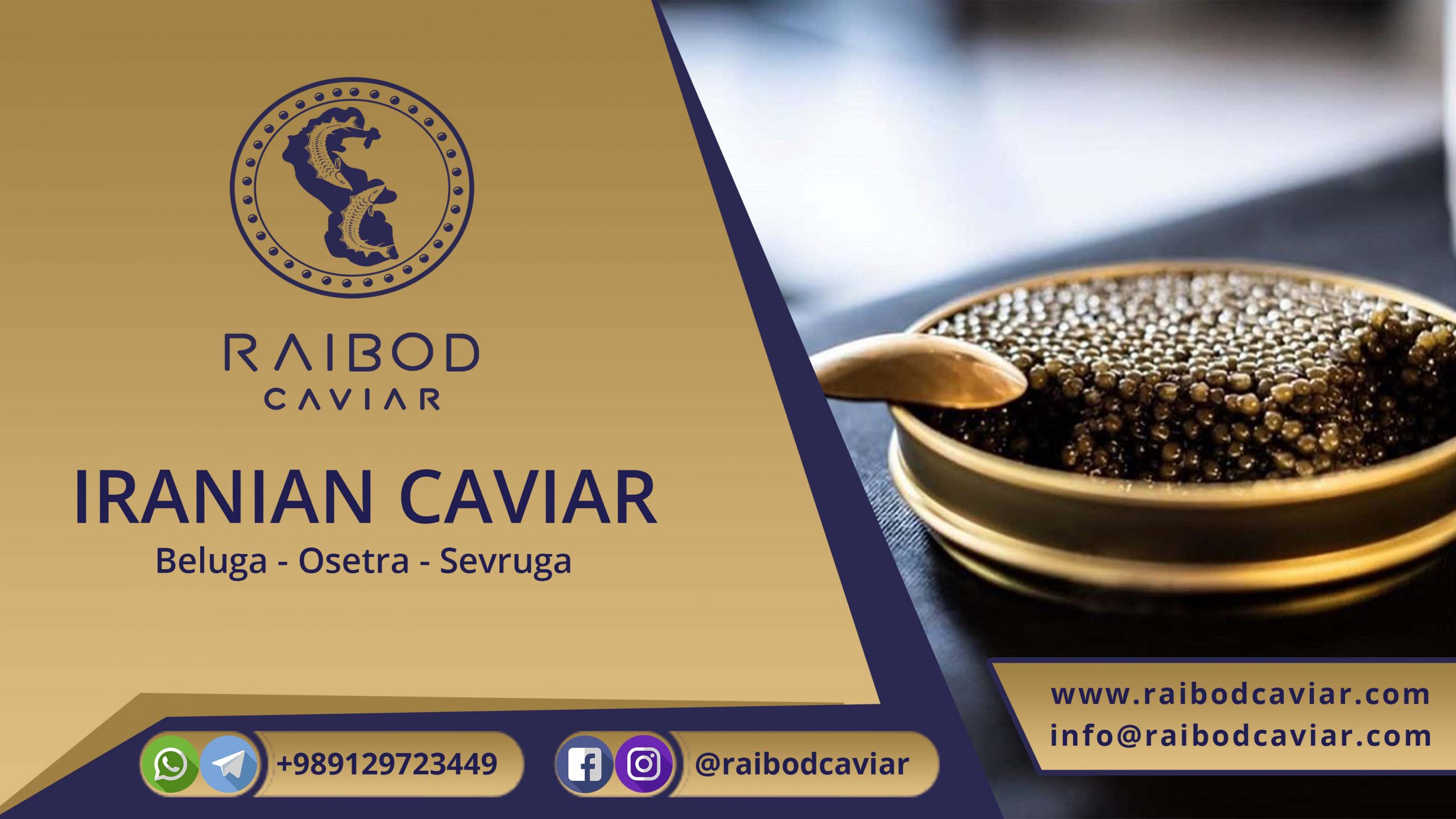 caviar fry