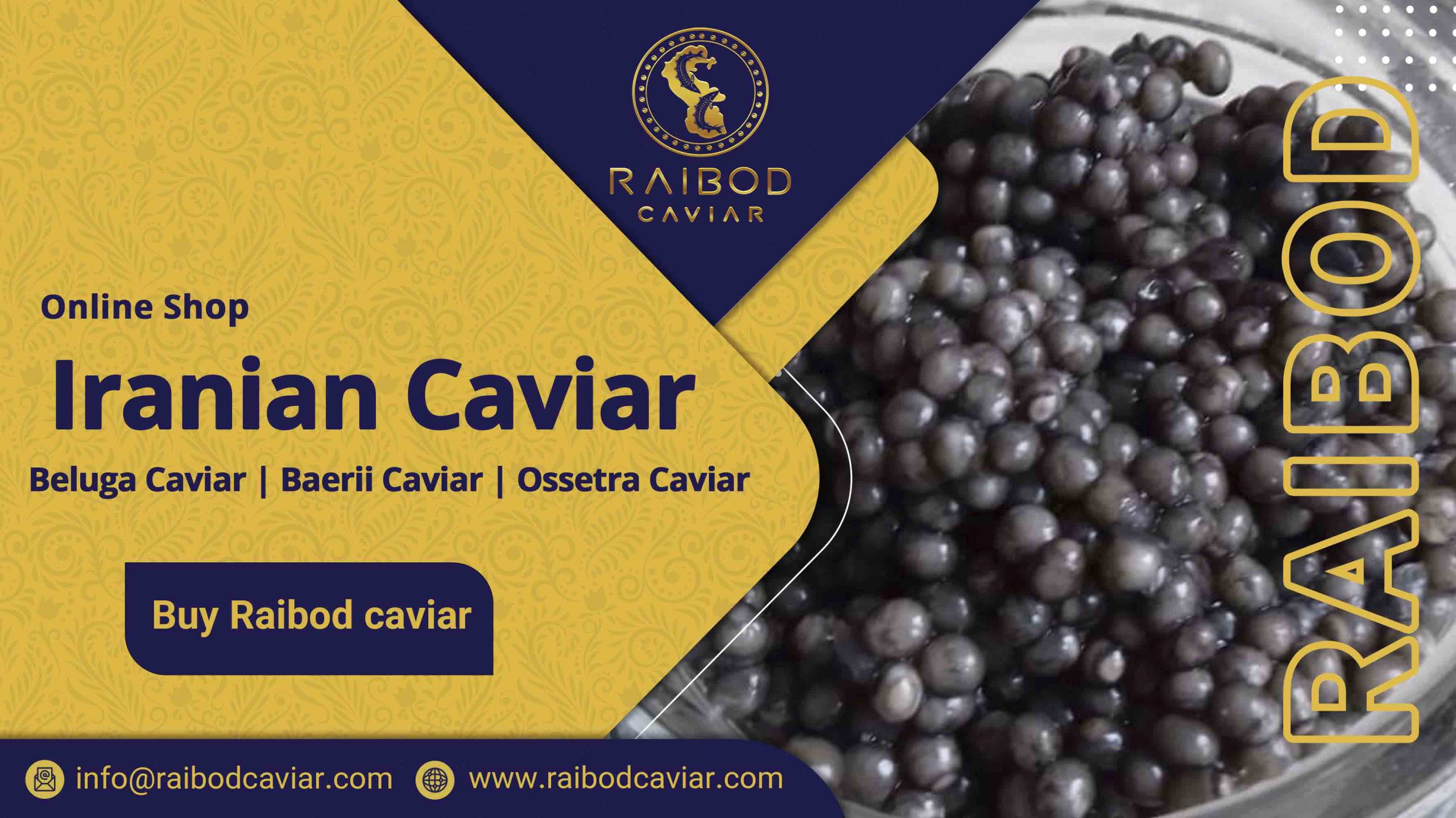 Sale of Beluga caviar has great impact on the country's economy today. It is one of the rarest and best caviar in the world