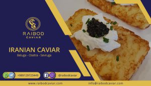 Export best Caviar