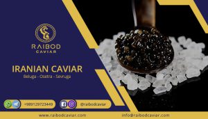 Export of first class caviar