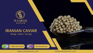 Caviar sale center
