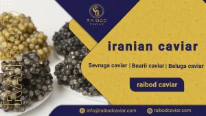 Import Iranian Beluga caviar